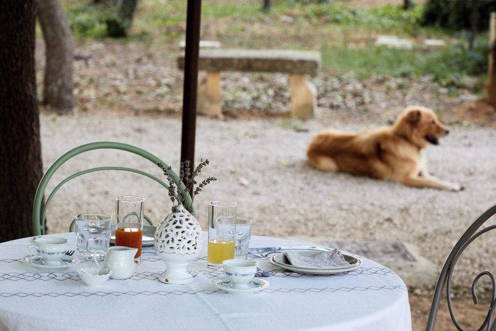 Petra Country House