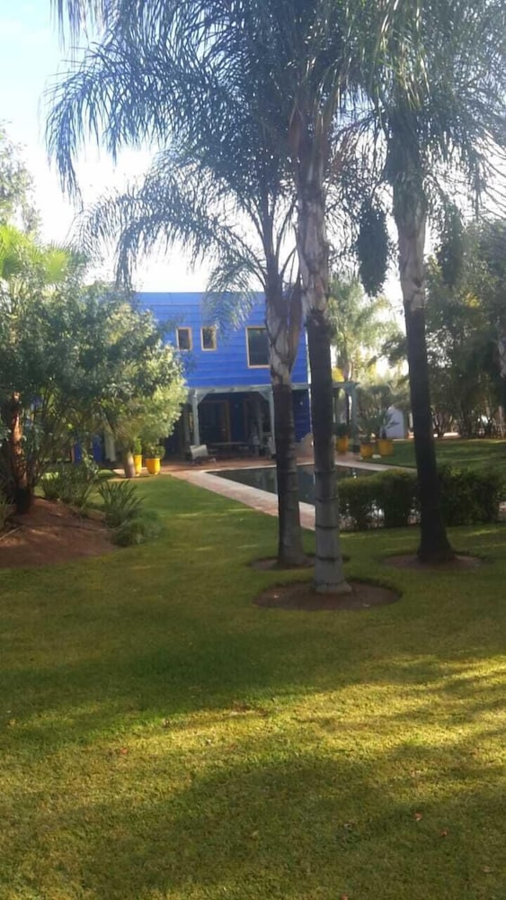 Photo 11