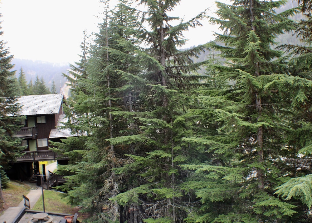 Crystal Chalets Condominiums at Crystal Mountain Ski Resort