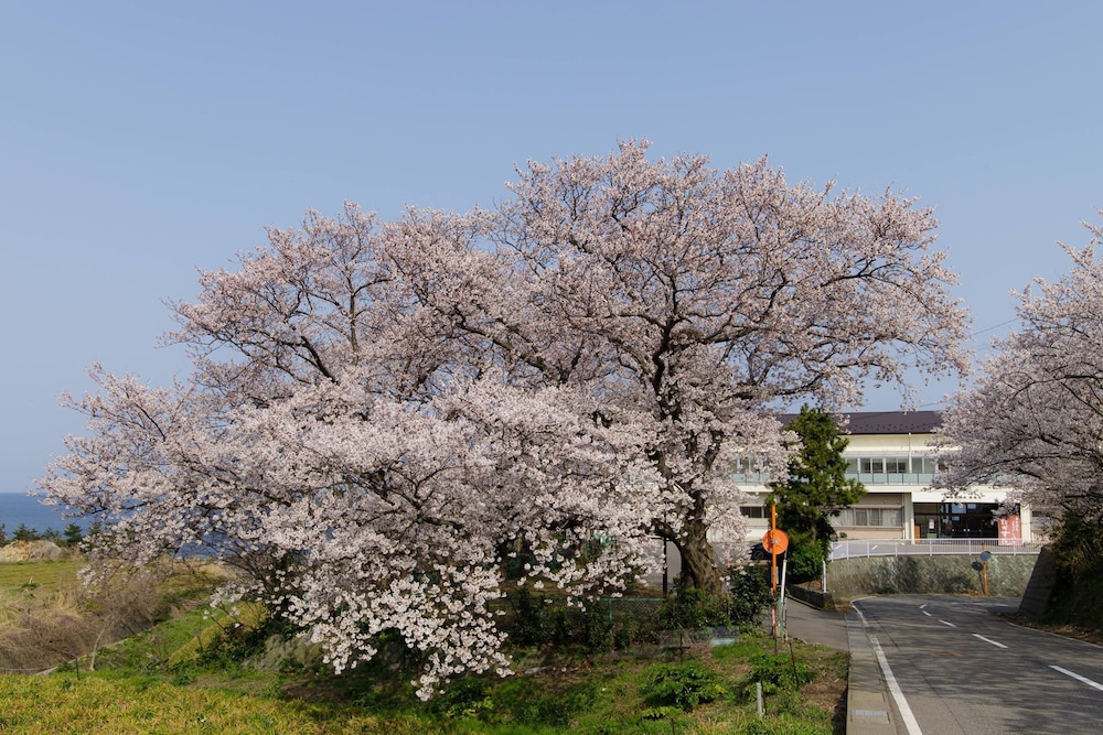 Takasuso view 2