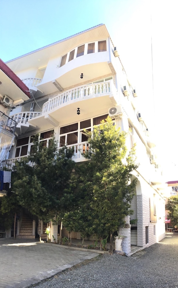 Photo 41