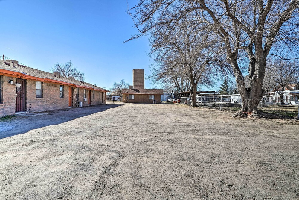 Cozy Las Cruces Apt on Pecan & Horse Farm! view 5