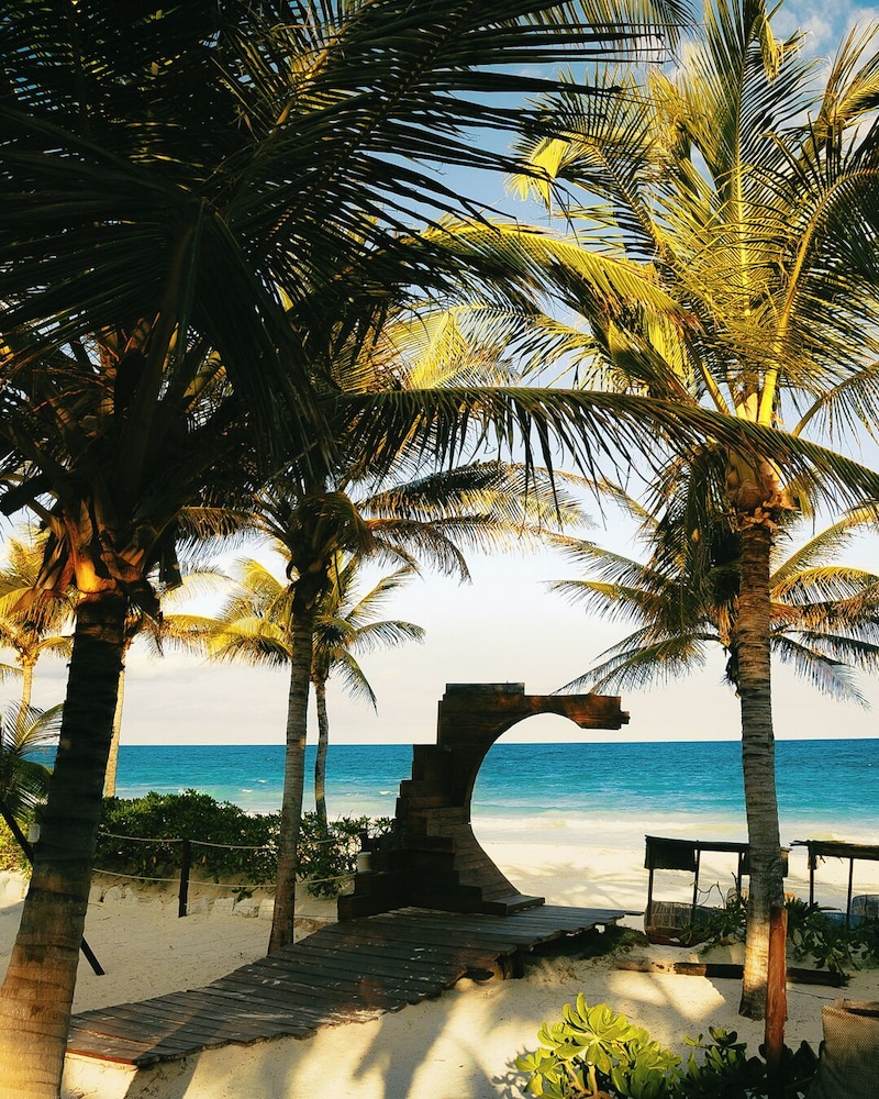 Mía Tulum Tribe