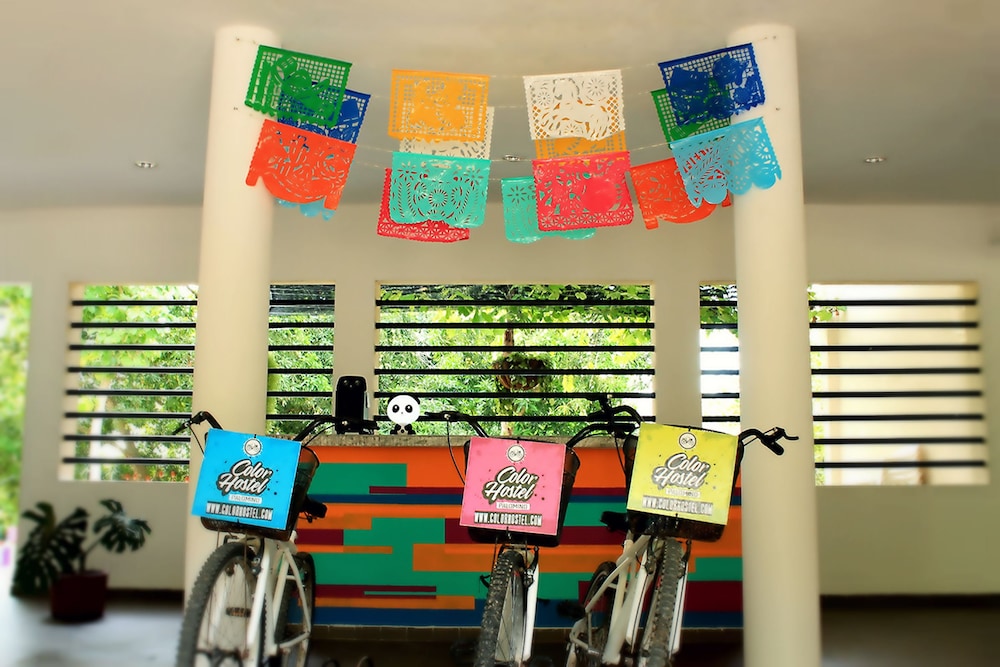 Color Hostel Palomino