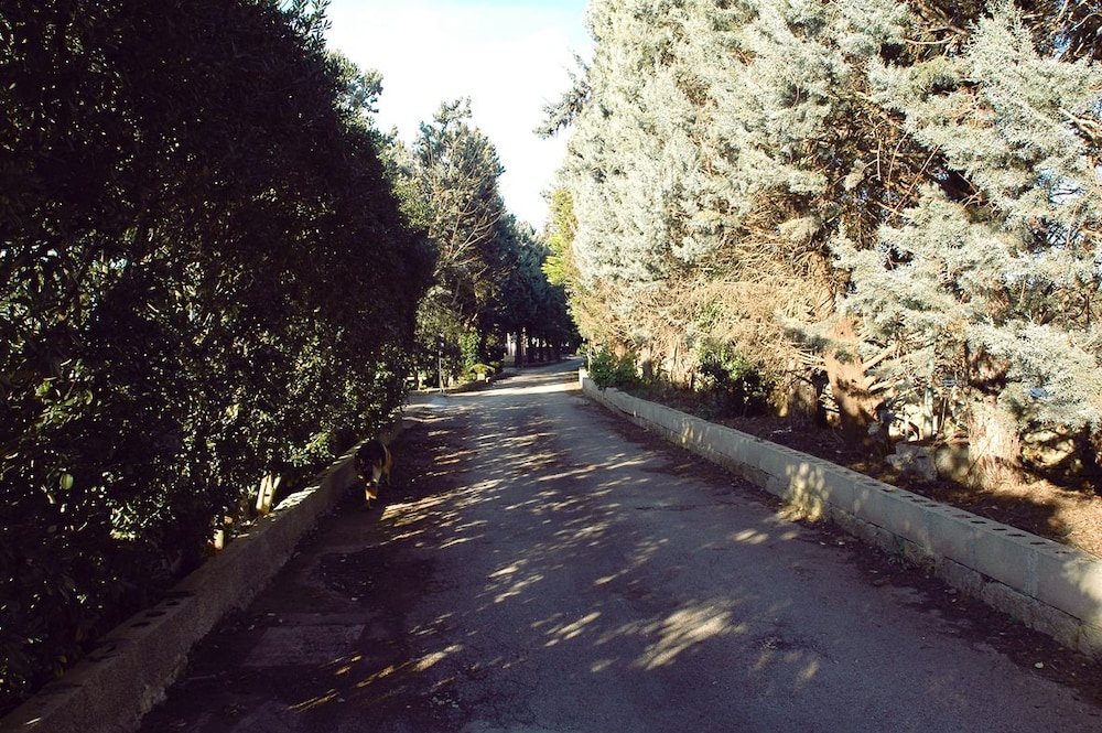Defabrivillage, photo 69