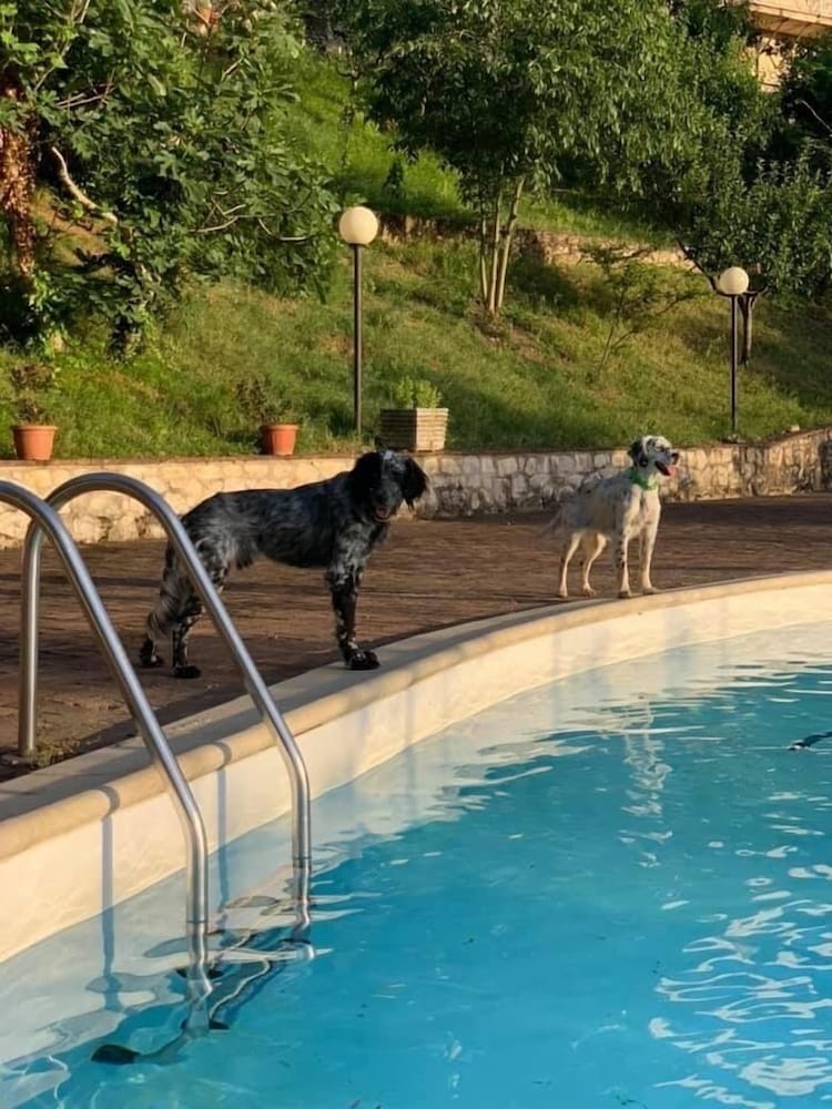 Setter House Agri Hotel