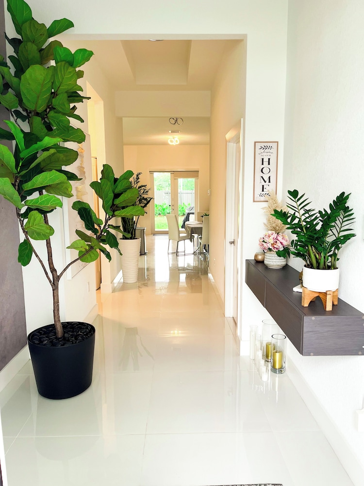 The Cozy Palm House