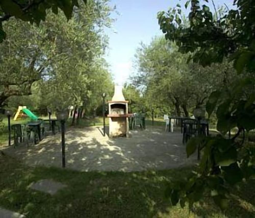 Photo 41