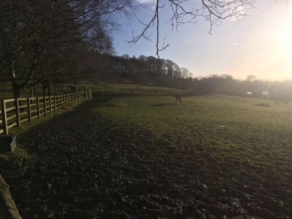 Grange Farm Bed & Breakfast