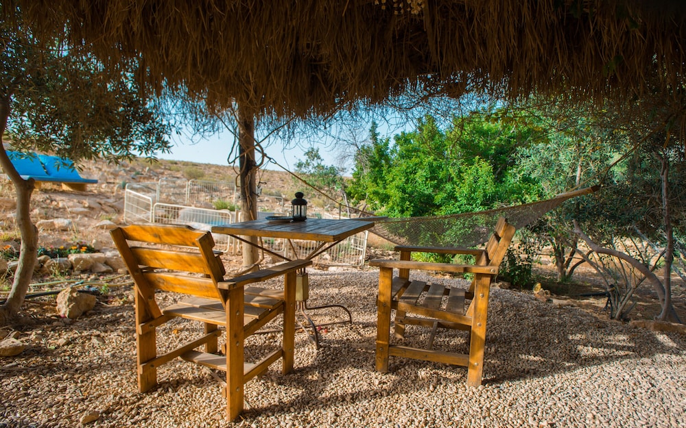 Carmey Avdat Farm