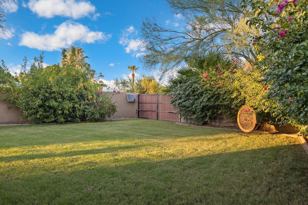Chaparral in Paradise Valley