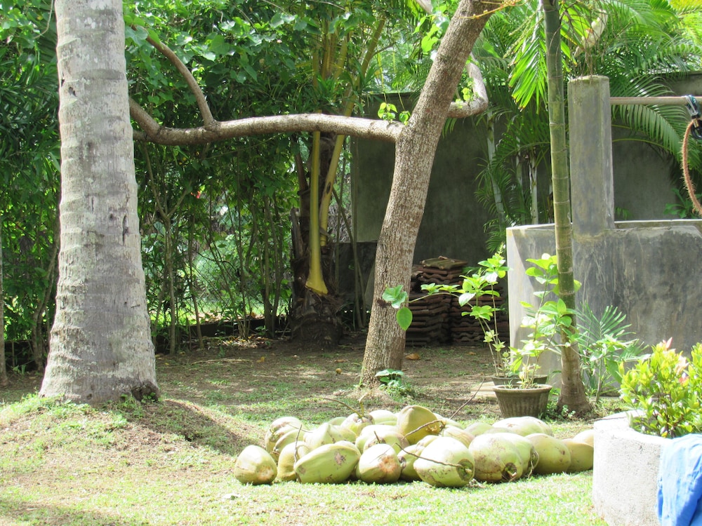 Leatherback Beach Villa