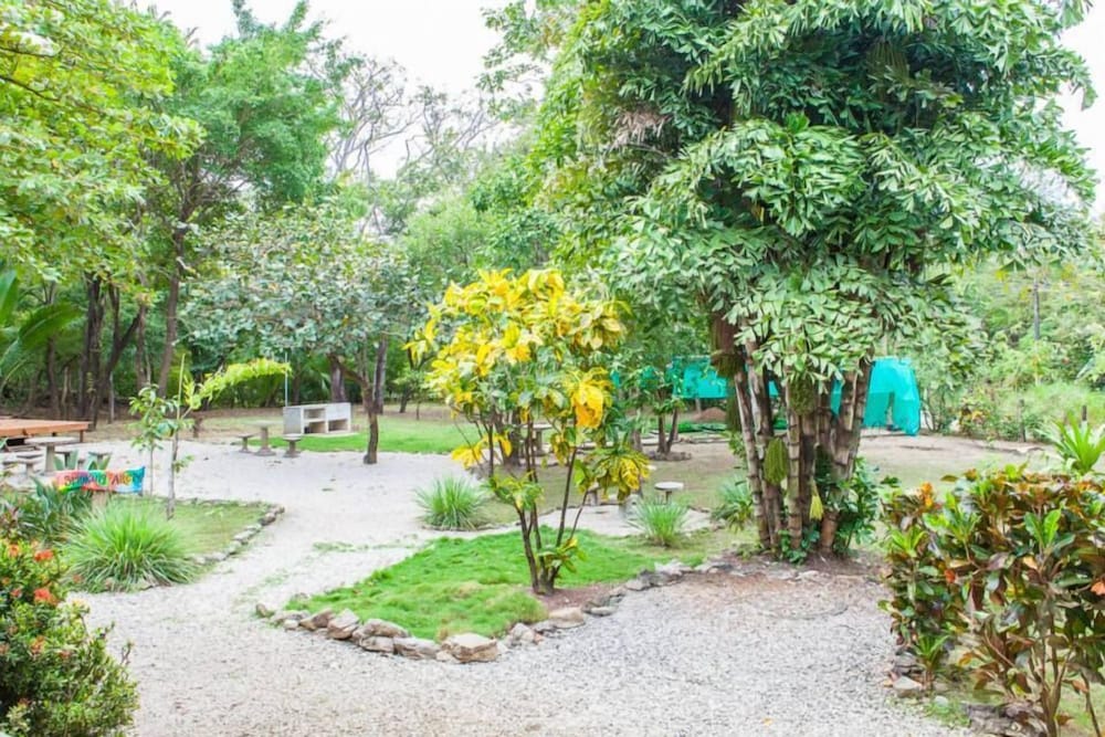 Nosara Beach Hostel
