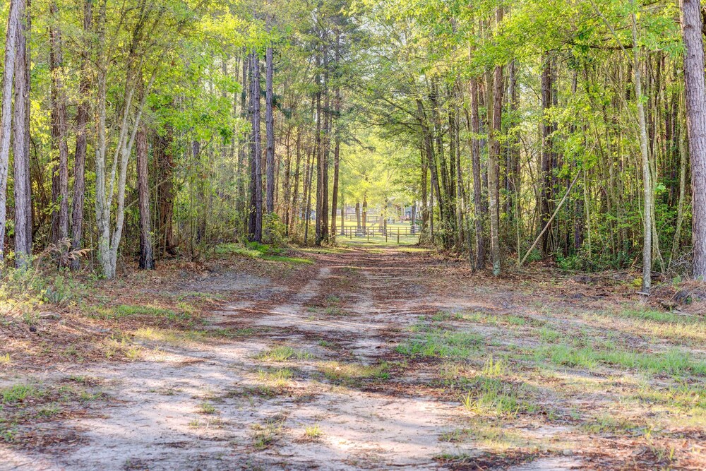 Georgia Farmhouse: Lake Access, Private Beach view 5