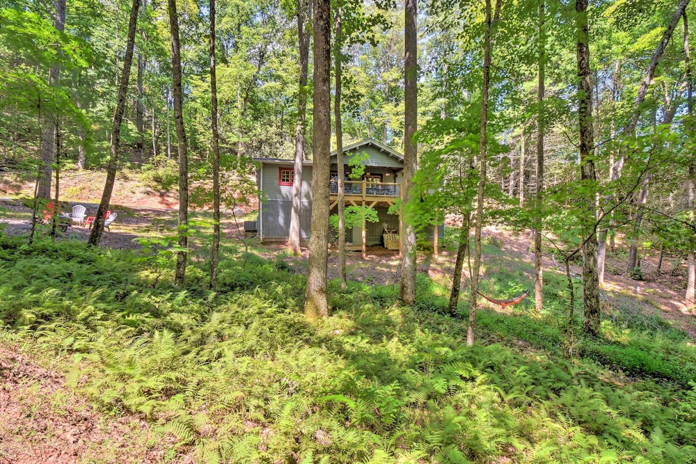 Pet-friendly Otto Mountain Cabin w/ Fireplace! view 5