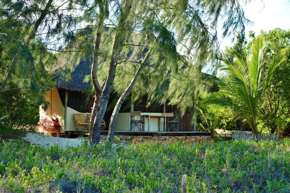 Photo 42