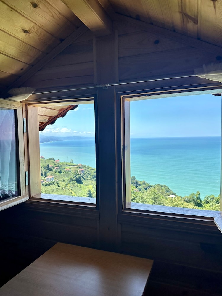 NaylaKonak view 3