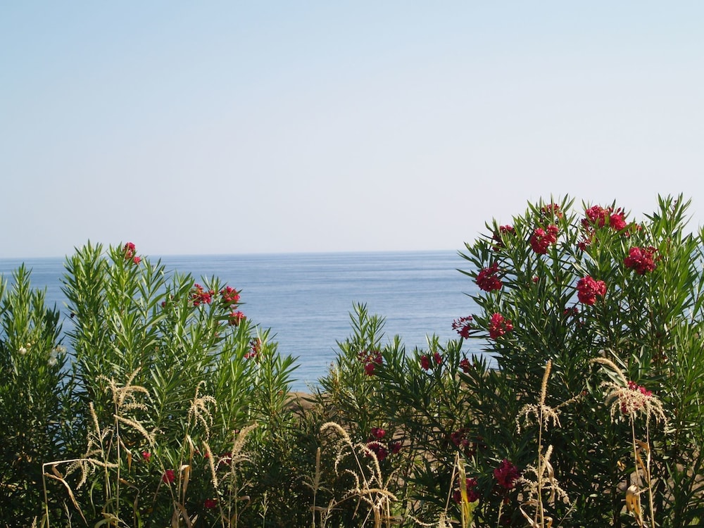 Bungalow Musuri