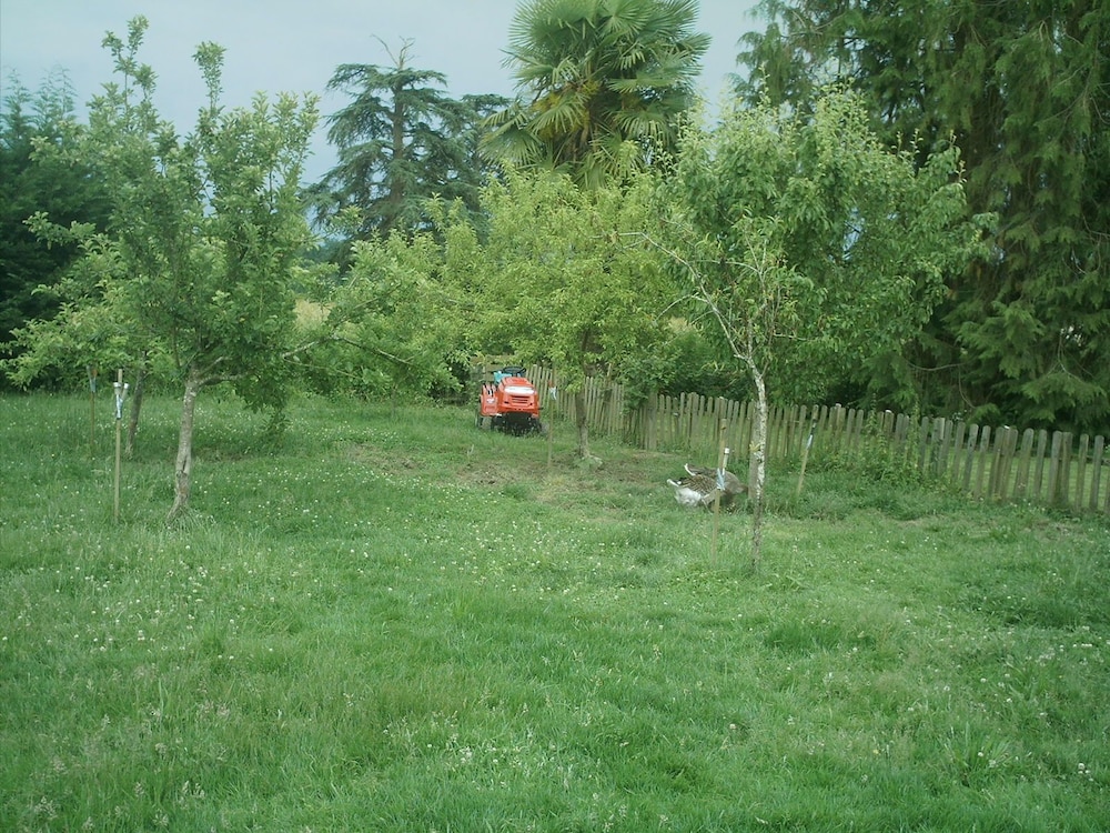 Photo 16