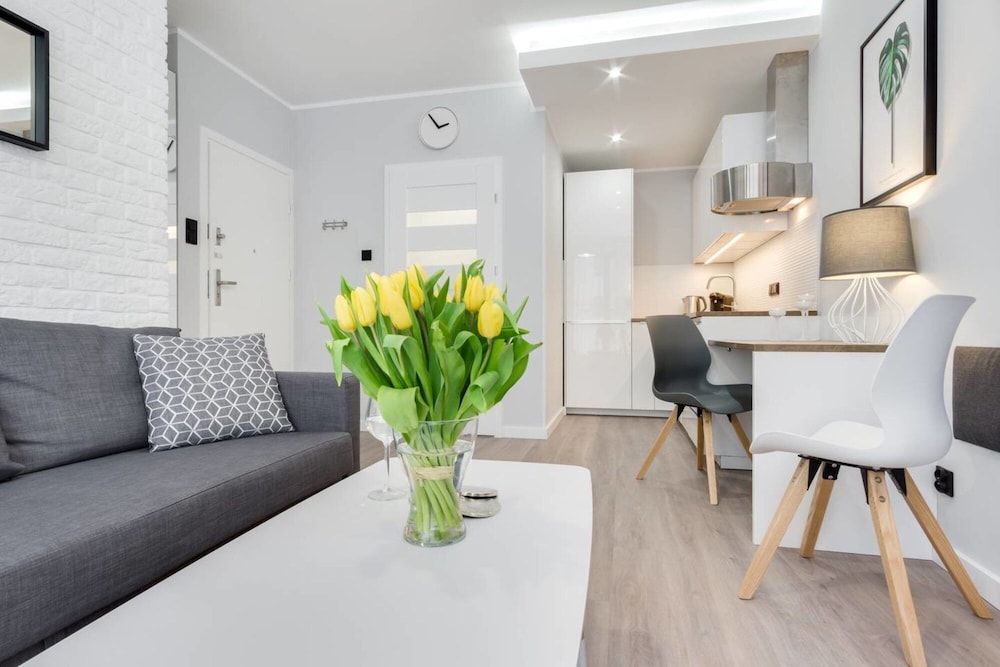 Modern Studio Apartment view 2