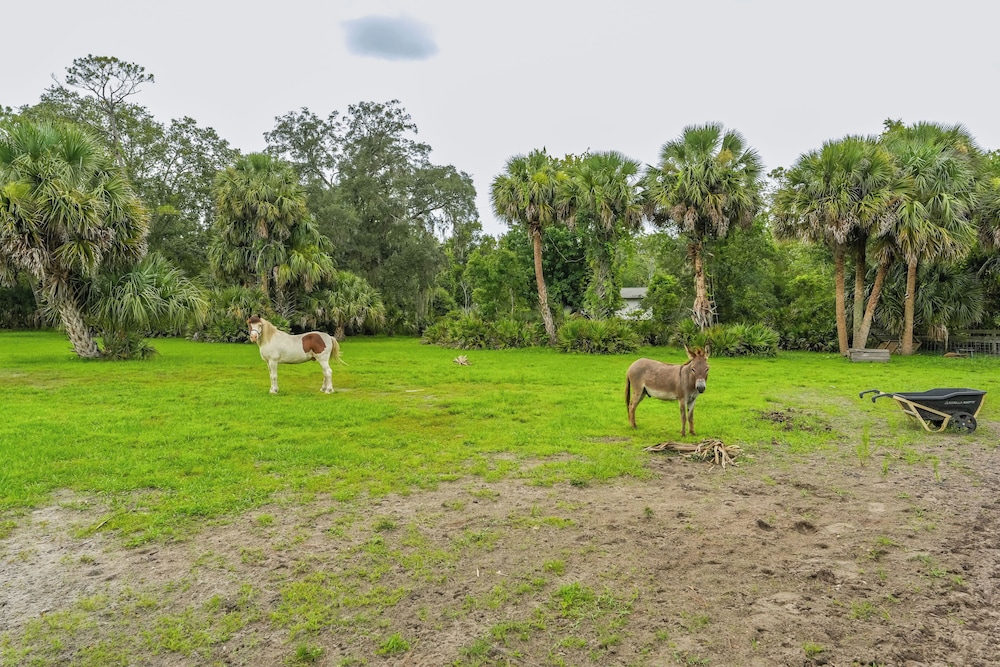 Farmhouse Hideaway w/ Covered Patio in Kissimmee