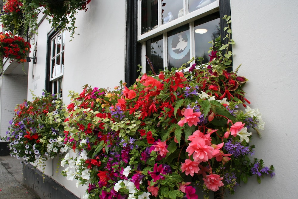 The Angel Inn