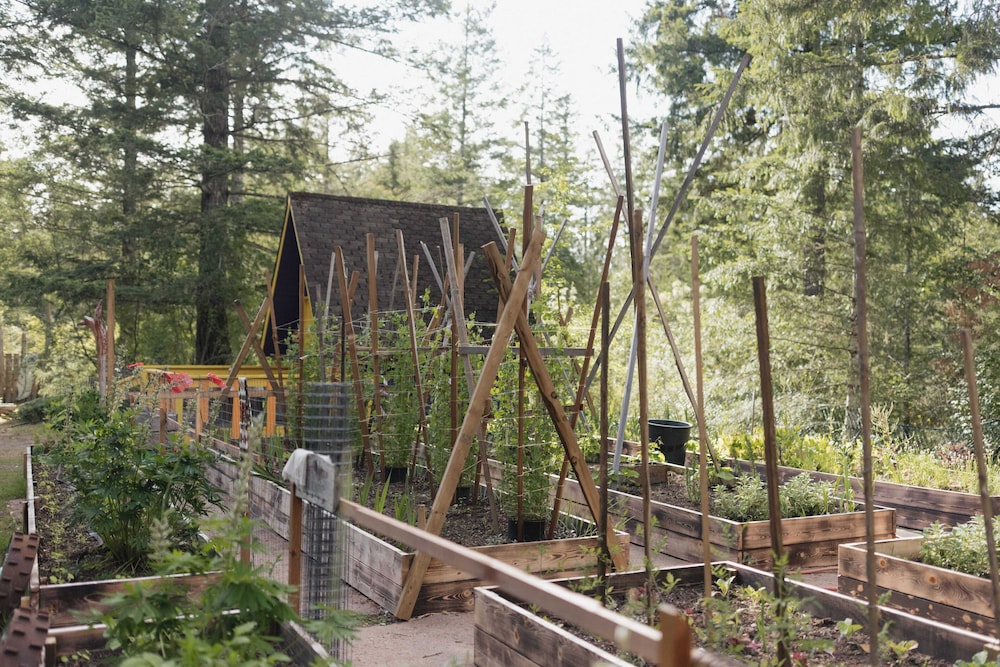 Ruby Lake Resort