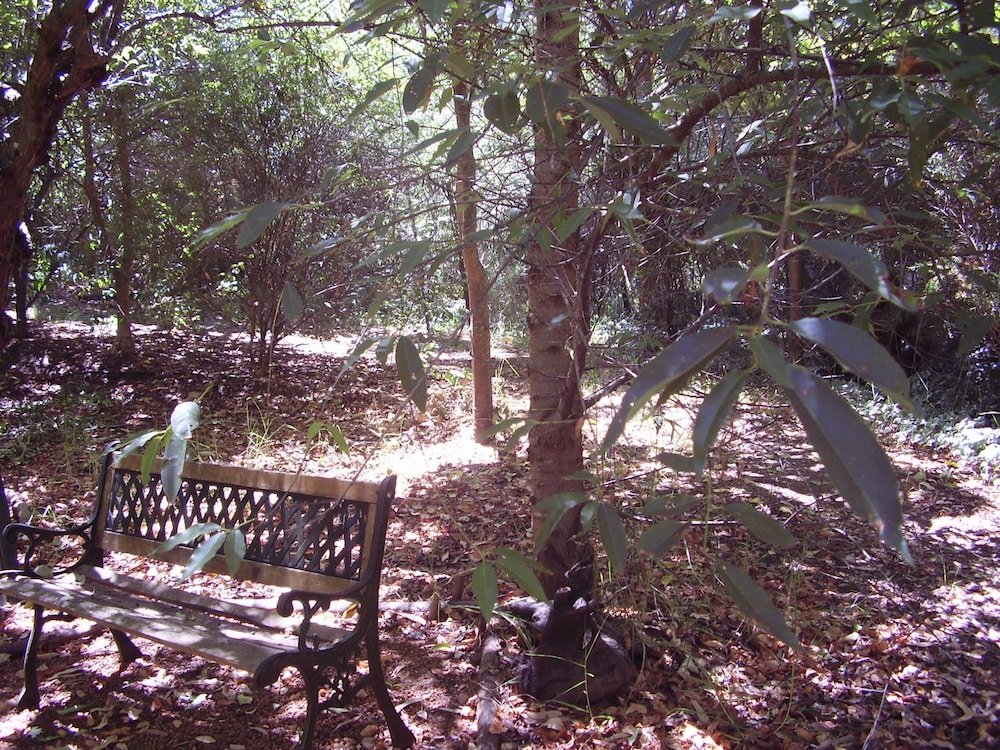 The Black Cockatoo Nannup