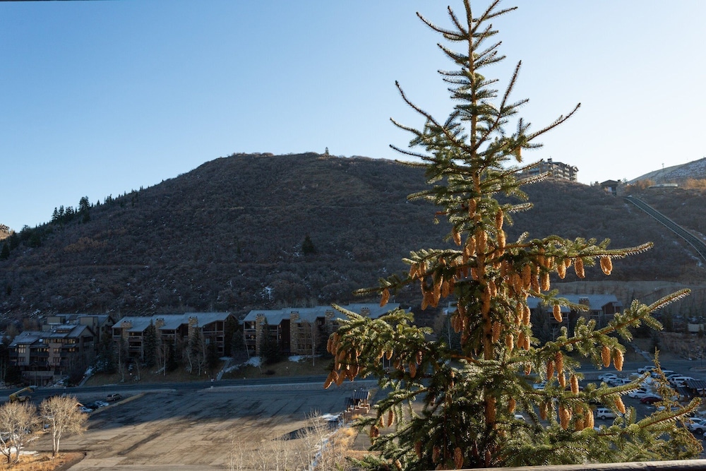 Trail's End Lodge at Deer Valley Resort - One Bedroom Residence with Spa #305 1 Condo