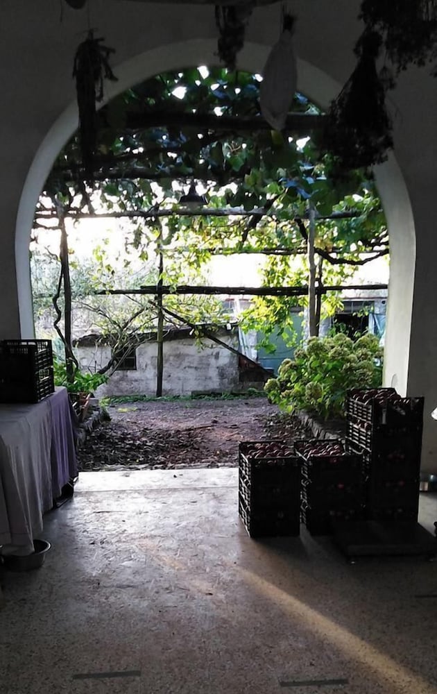 Azienda Agricola Le tore srl view 4