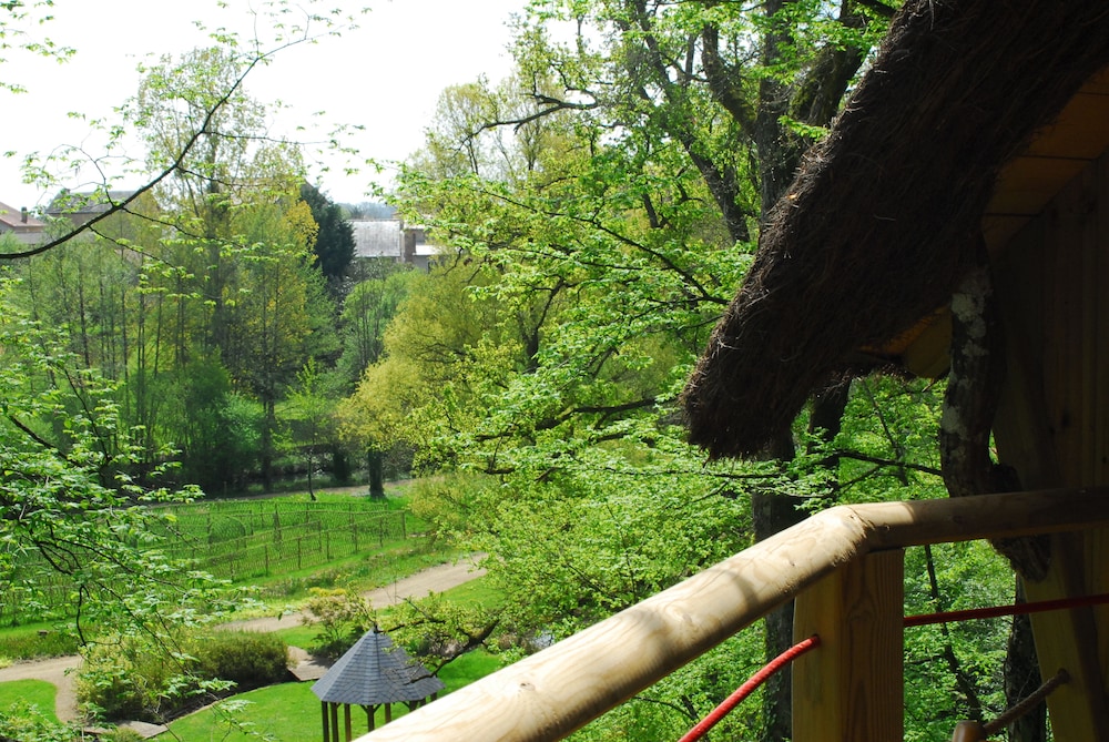 Photo 31