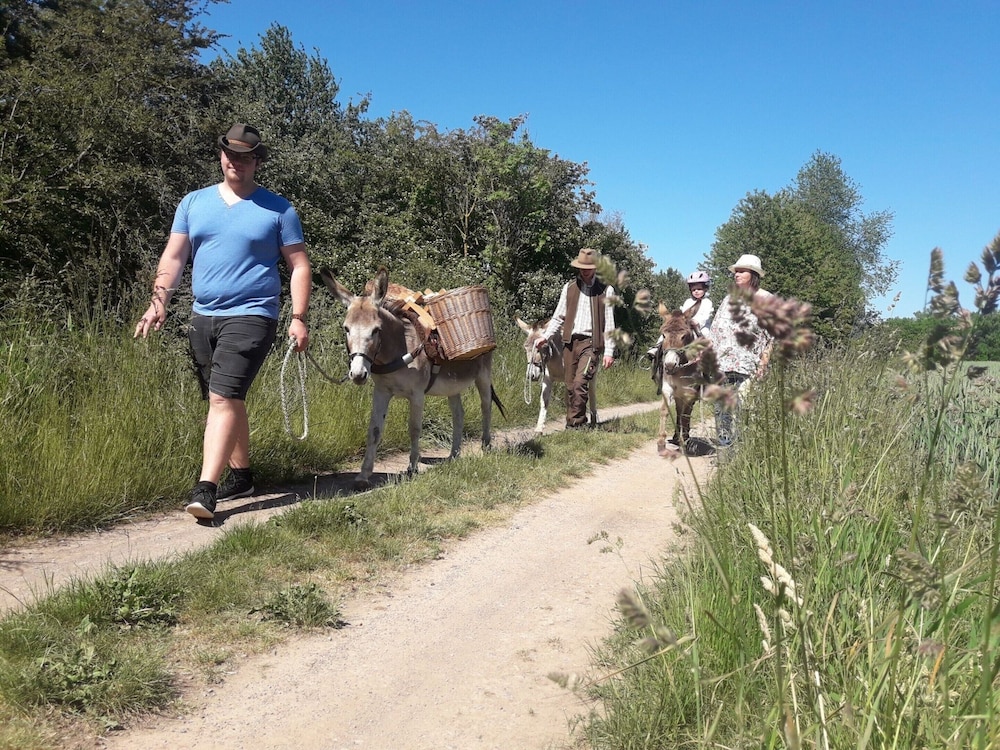 Familienfreundlicher Urlaub im Landhaus Obergude
