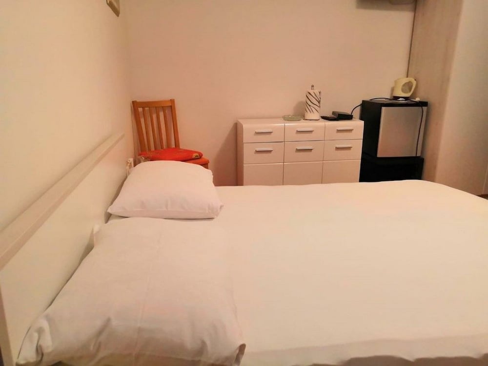 Apartment and Rooms Ruza view 4