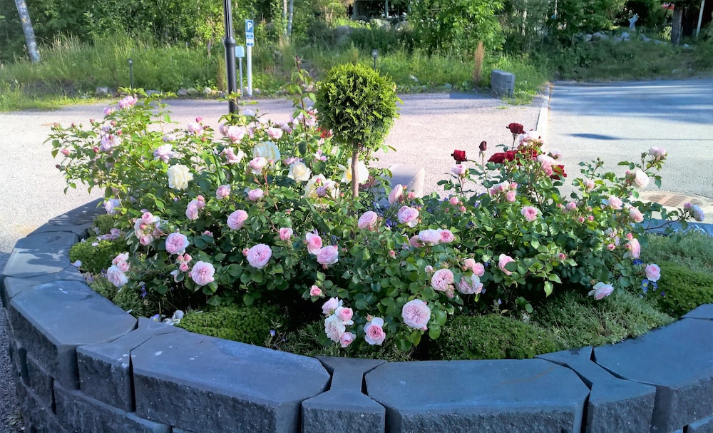 Villa Jokivarsi B&B