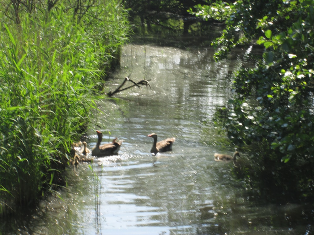 Photo 32