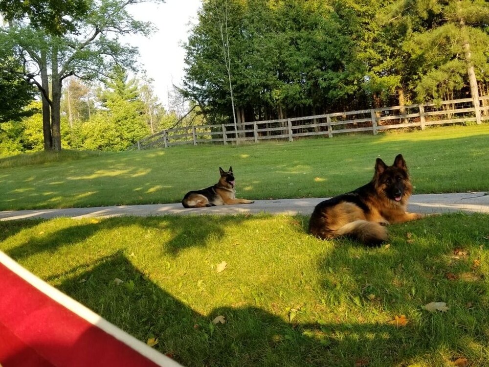 Caledon Manor and Country Inn