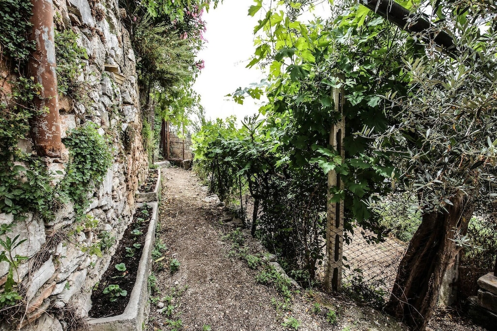 Photo 46