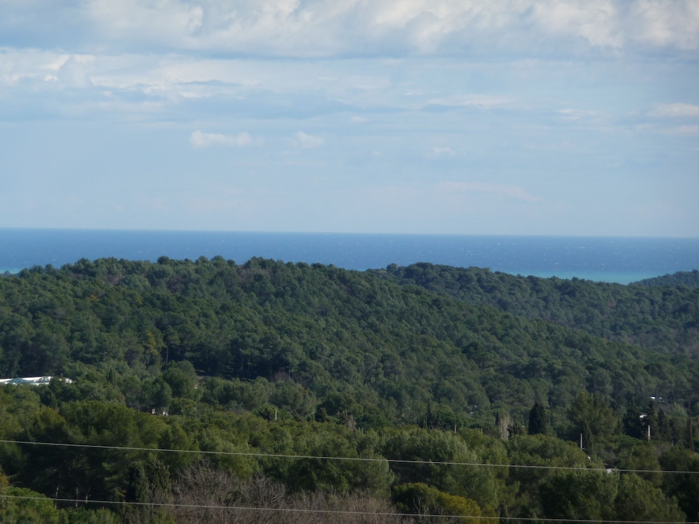 Mougins Vacations - Propriete Prestige Cannes Mougins - Property Image 31
