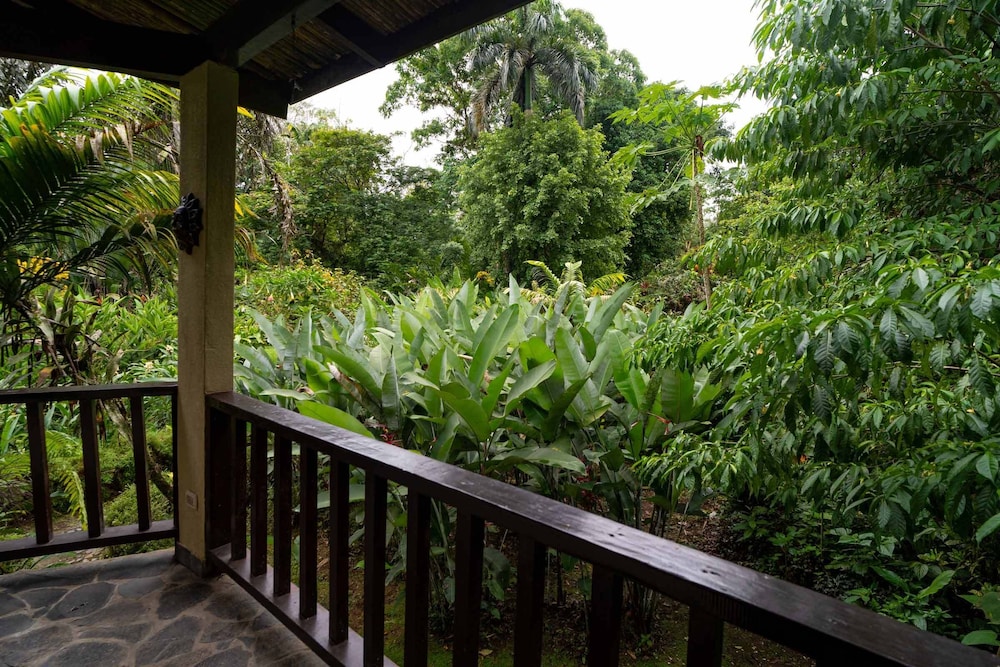 Heliconia Island