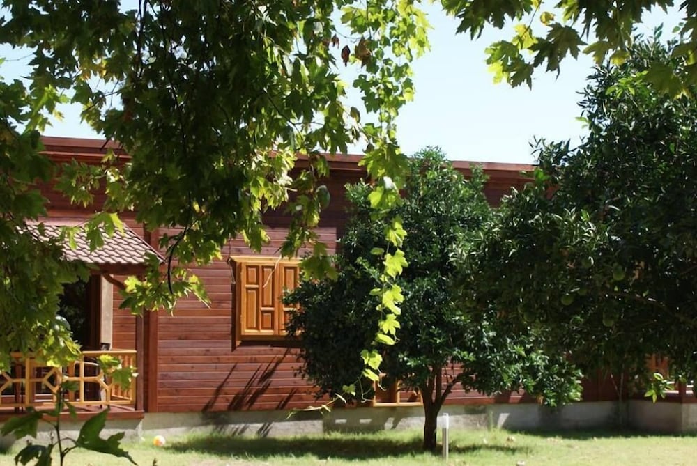 Maji Köyü - Image 10