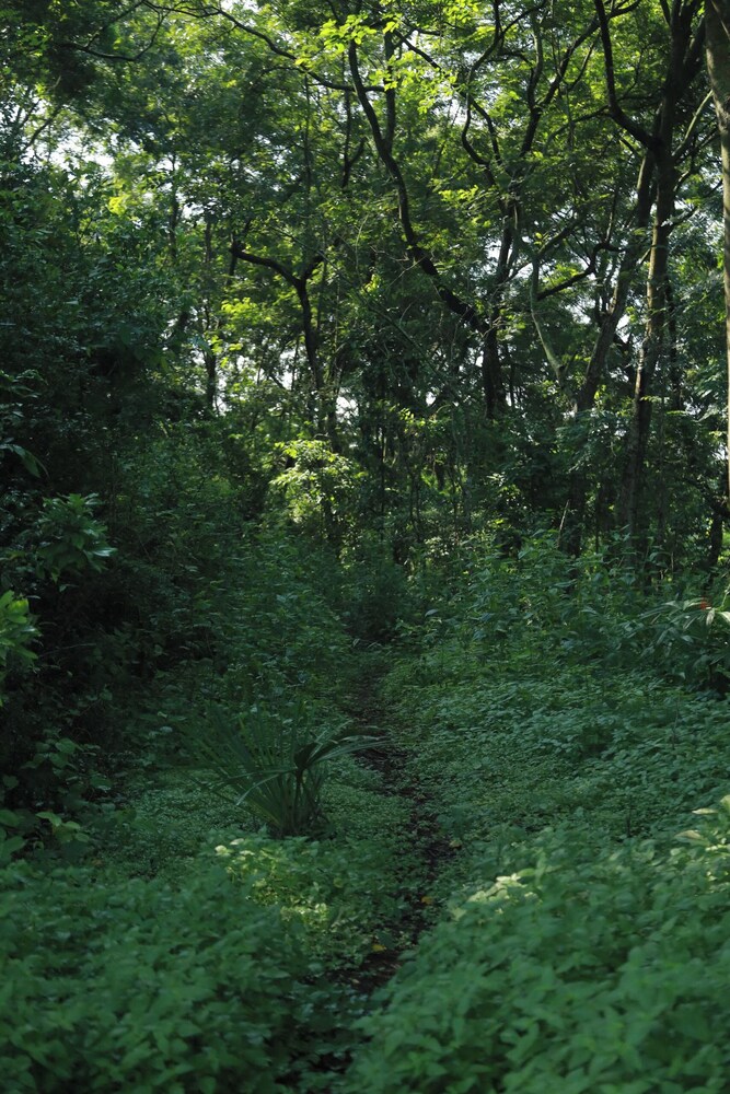 Suoi Rao Hao Huc Village