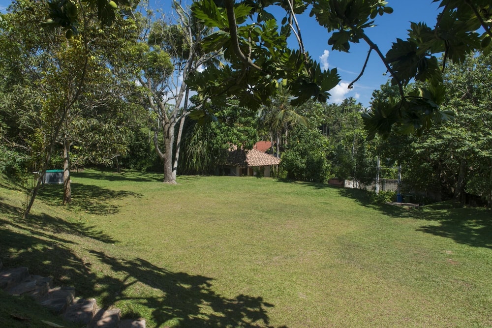 Photo 22