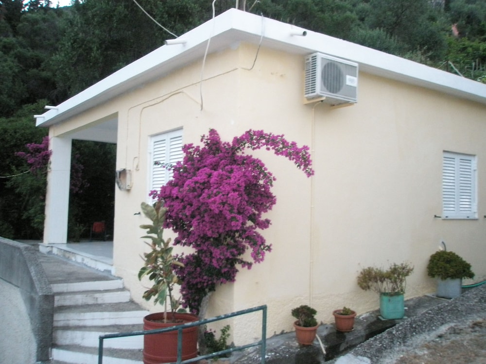 Photo 47