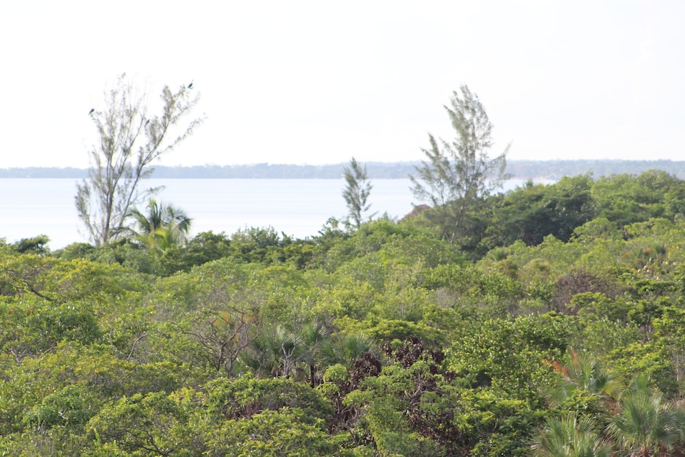 Palmento Grove Eco Cultural & Fishing Lodge