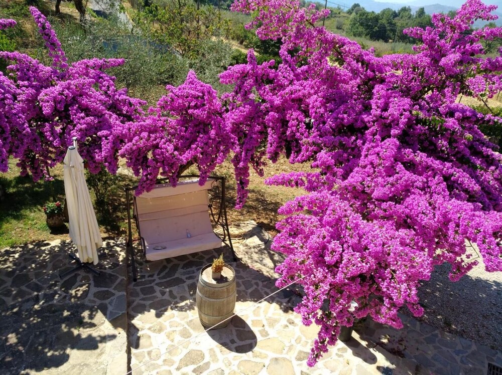 Agriturismo Il Marchese