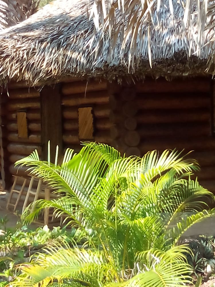 Photo 13