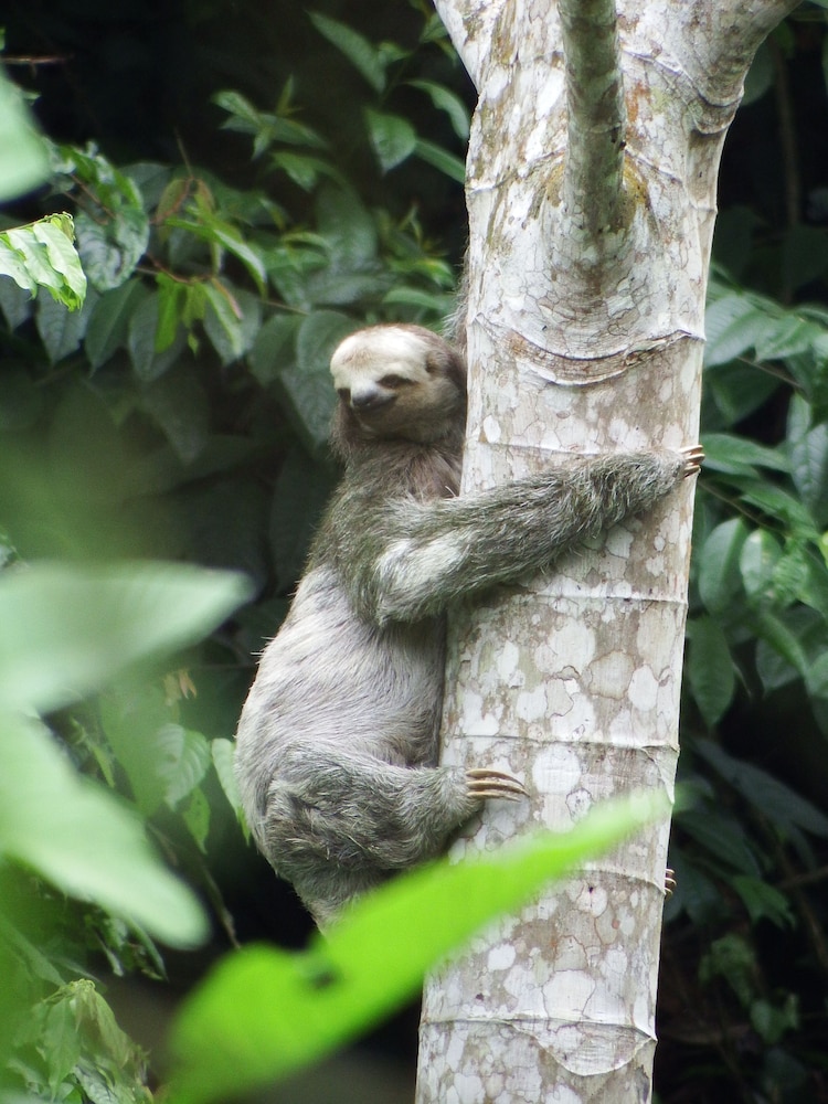 Jardin de los Suenos