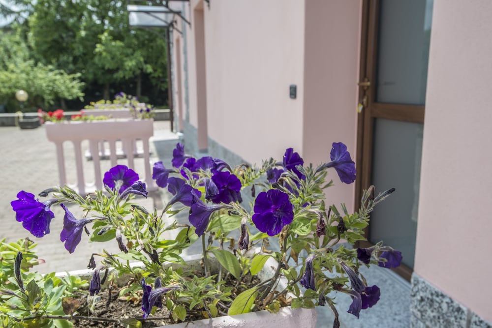 Villa Rosy B&B