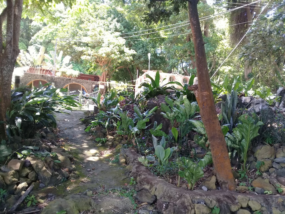 Photo 46