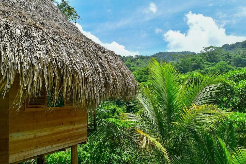 Ecohabs Bosques del Tayrona
